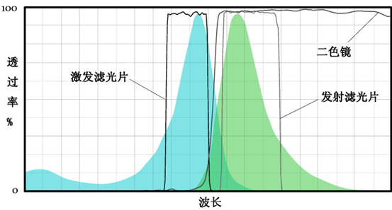 荧光滤光片曲线示意图