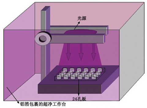 Fe3O4-TiO2光催化杀伤HepG2 细胞的实验装置图