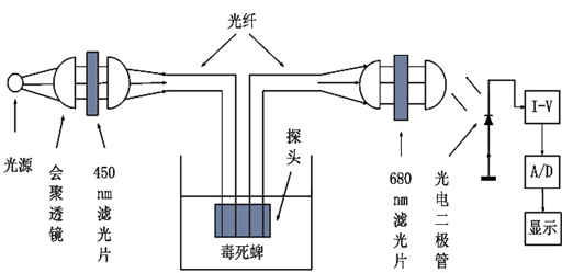 系统结构图