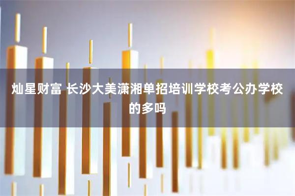灿星财富 长沙大美潇湘单招培训学校考公办学校的多吗