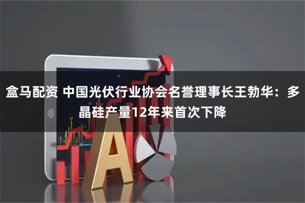 盒马配资 中国光伏行业协会名誉理事长王勃华：多晶硅产量12年来首次下降