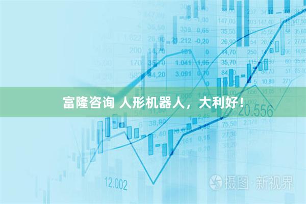 富隆咨询 人形机器人，大利好！